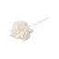 Wit gebleekte Hydrangea Cabeza | Gepreserveerde Hortensia | Lengte ± 70 gram | Per stuk
