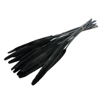 Casa Alegria Black Babala dried flowers | Length ± 65 centimetres | Per 15 stems