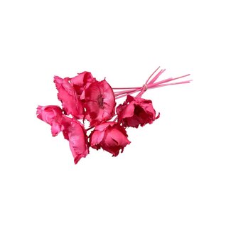 Casa Alegria Rosa Palm Cup Trockenblumen | Länge ± 60 Zentimeter | Pro 10 Zweige