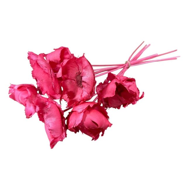 Rosa Palm Cup Trockenblumen | Länge ± 60 Zentimeter | Pro 10 Zweige