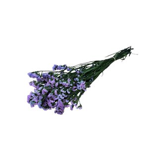 Casa Alegria Lilac Statice Sinuata preserved flowers | Length ± 65 centimetres | Weight ± 75 grams