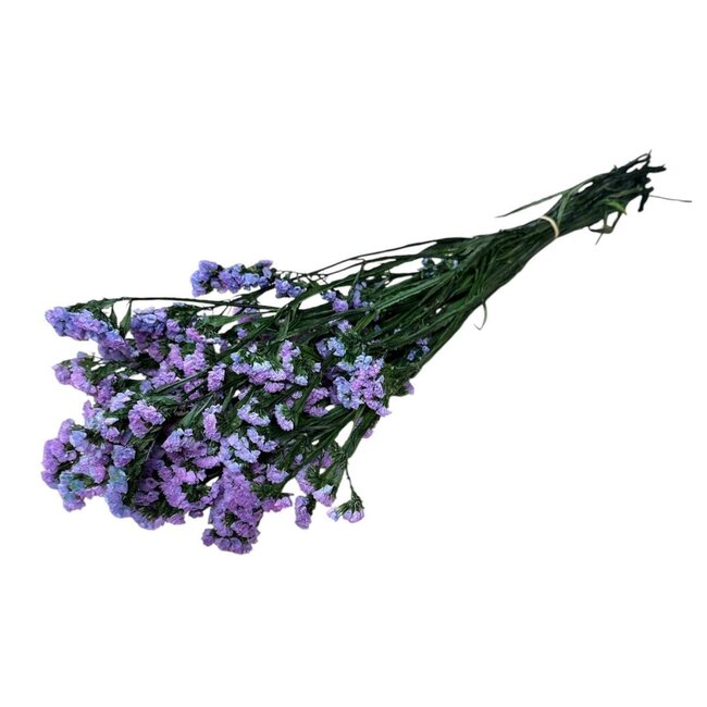 Lila Statice Sinuata gepreserveerde bloemen | Lengte ± 65 centimeter | Gewicht ± 75 gram