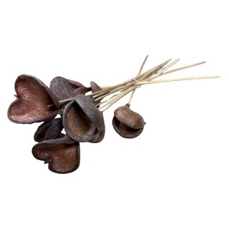 Casa Alegria Badam on stem | Colour: Natural brown | Length of stick approximately 40 centimetres | Per 10 stems