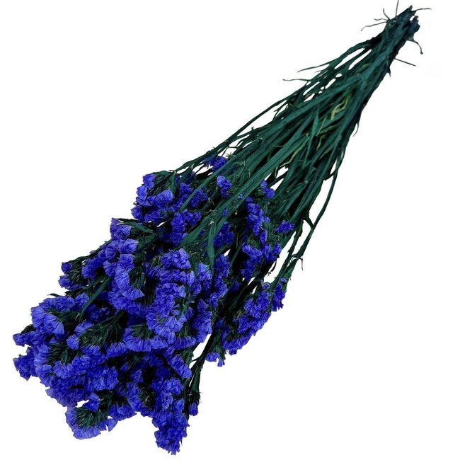 Purple Statice Sinuata preserved flowers | Length ± 65 centimetres | Weight ± 75 grams