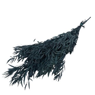 Casa Alegria Eucalyptus Parvifolia Préservé | Vert Naturel | 150 grammes | Longueur 60 centimètres