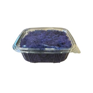 Casa Alegria Lichen de renne préservé violet d'Islande | Emballé par 150 grammes