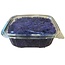 Purple preserved Reindeer Moss from Iceland | Packed per 150 grams