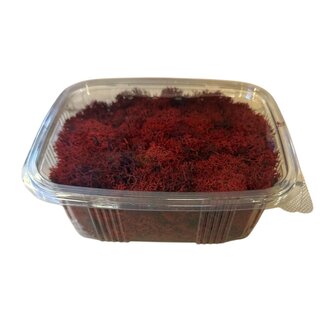 Casa Alegria Roter konservierter Rentiermoos aus Island | Verpackt pro 150 Gramm