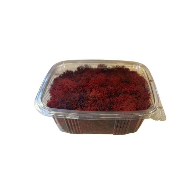 Red preserved Reindeer Moss from Iceland | Packed per 150 grams