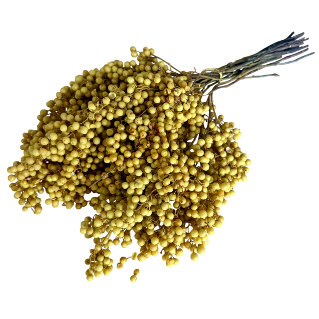 Yellow Schinus - Pepper Berries Dried Decoration | Length ± 35 centimetres | Weight ± 150 grams