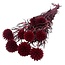 Rode Echinops XL gepreserveerde bloemen | Lengte ± 65 centimeter | Gewicht ± 350 gram | Per 10 takken