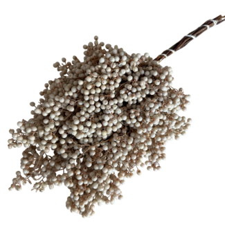 Dutch Dried White Bleached Schinus - Pepper Berries Dried Decoration | Length ± 35 centimetres | Weight ± 150 grams