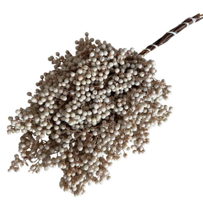 Weiß gebleichte Schinus - Pfefferbeeren Trockenblumendekoration | Länge ± 35 Zentimeter | Gewicht ± 150 Gramm
