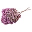 Old Pink Hydrangea | Preserved Hydrangea | Length ± 60 centimetres | Per piece