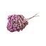 Old Pink Hydrangea | Preserved Hydrangea | Length ± 60 centimetres | Per piece