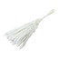 White bleached Fluffy Pampas plumes | Length ± 60 centimetres | Per 20 stems