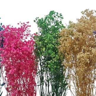 Set de bricolage "Tenerife" Gypsophile préservé