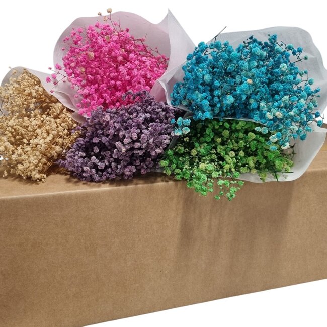 Preserved Baby's Breath DIY Set "Tenerife" | Five Colours of Preserved Gypsophila in a Box