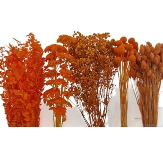 Dried Flowers DIY Set "Bilbao"