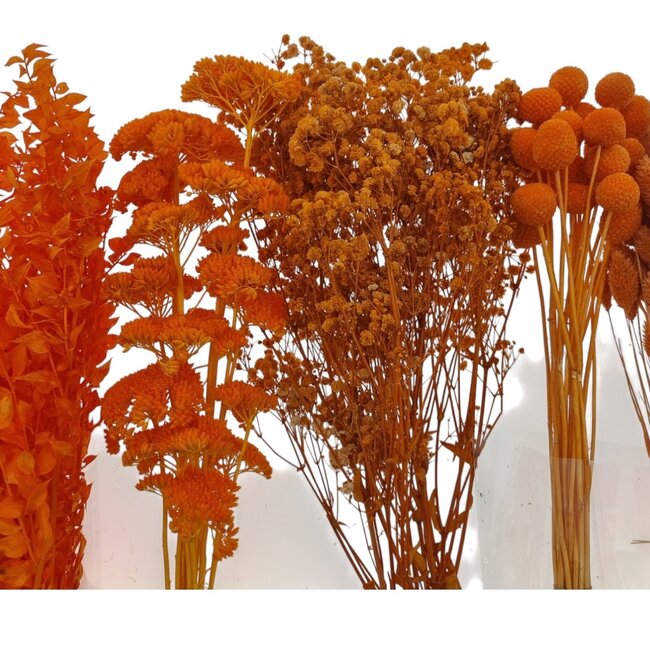 Dried Flowers DIY Set "Bilbao" | Five types of orange dried flowers in a box