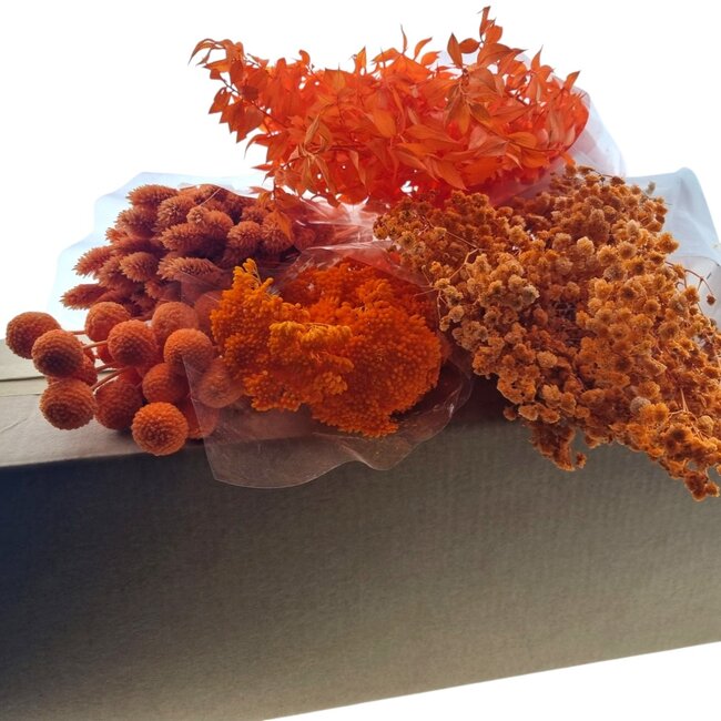 Trockenblumen DIY-Set "Bilbao" | Fünf Arten von orangefarbenen Trockenblumen in einer Box