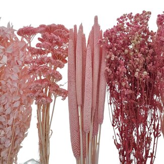 Dried Flower DIY Set "Valencia"