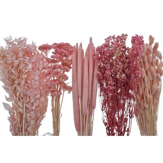 Dried Flower DIY Set "Valencia"