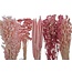 Dried Flowers DIY Set "Valencia" | Five types of pink dried flowers in a box