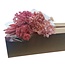 Dried Flowers DIY Set "Valencia" | Five types of pink dried flowers in a box