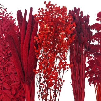 Dried Flowers DIY Set "Malaga"