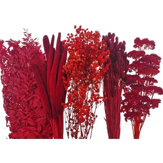 Dried Flowers DIY Set "Malaga"