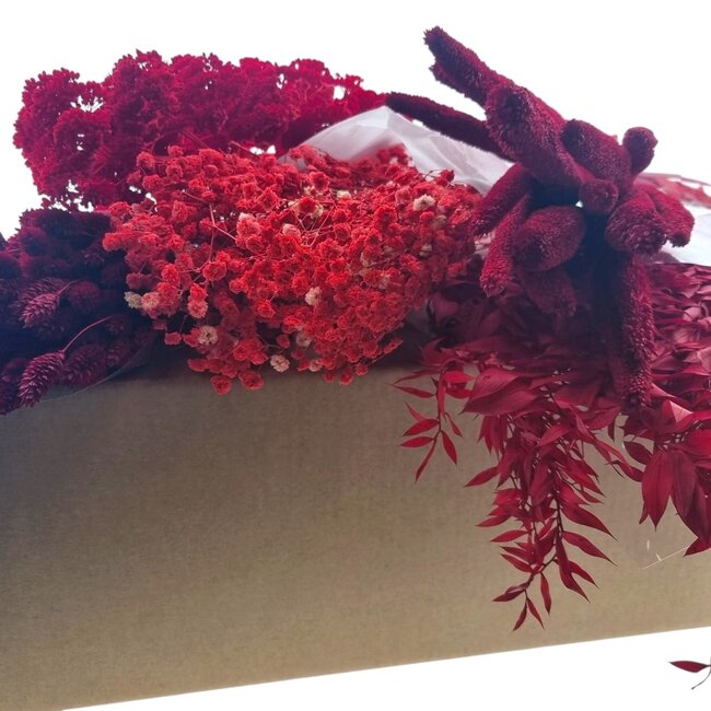 Trockenblumen DIY-Set "Malaga" | Fünf Arten von roten Trockenblumen in einer Box