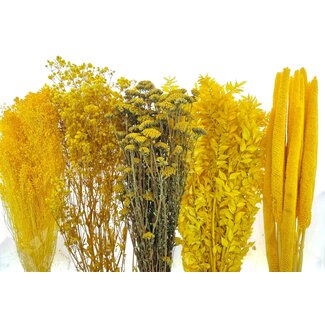 Dried Flowers DIY Set "Madrid"