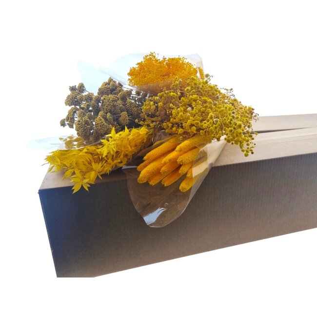 Kit DIY de fleurs séchées "Madrid" | Cinq types de fleurs séchées jaunes dans une boîte
