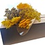 Trockenblumen DIY-Set "Madrid" | Fünf Arten gelber Trockenblumen in einer Box