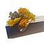 Trockenblumen DIY-Set "Madrid" | Fünf Arten gelber Trockenblumen in einer Box
