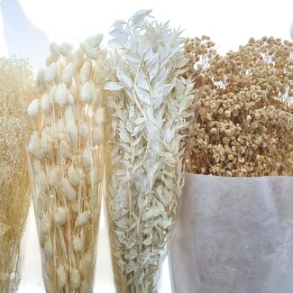 Dried Flowers DIY Set "Barcelona"