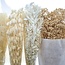 Dried Flowers DIY Set "Barcelona" | Five types of white bleached dried flowers in a box