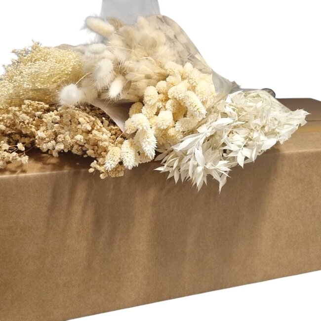 Droogbloemen DIY set "Barcelona" | Vijf soorten wit gebleekte droogbloemen in een box