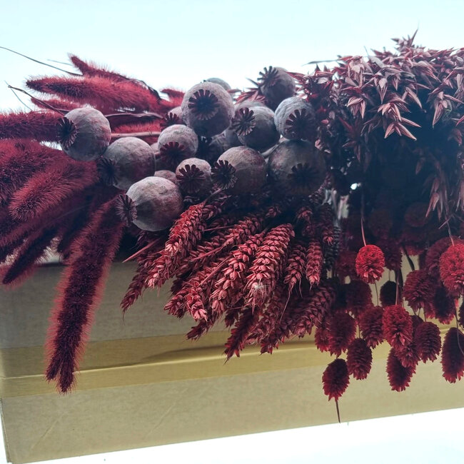 Dried Flowers DIY Set "Rottumeroog" | Five types of red dried flowers in a box