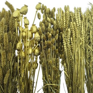 Dried Flowers DIY Set "Schiermonnikoog"