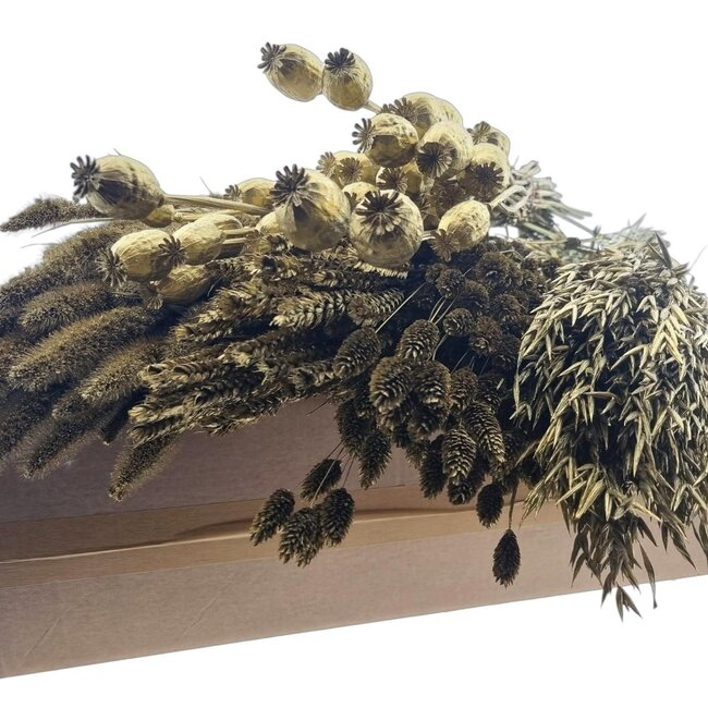 Trockenblumen DIY-Set "Schiermonnikoog" | Fünf Arten goldfarbener Trockenblumen in einer Box