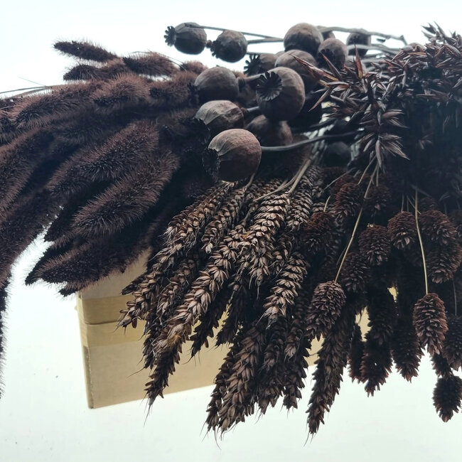 Dried Flowers DIY Set "Terschelling" | Five types of brown dried flowers in a box