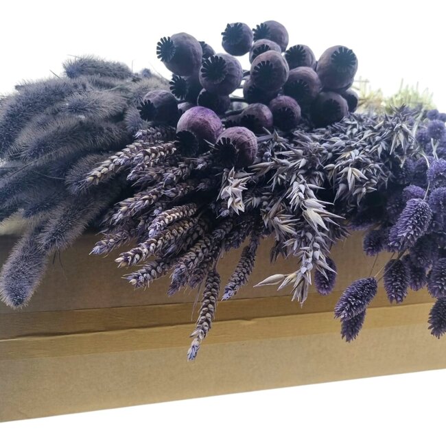 Droogbloemen DIY set "Vlieland" | Vijf soorten paarse droogbloemen in een box