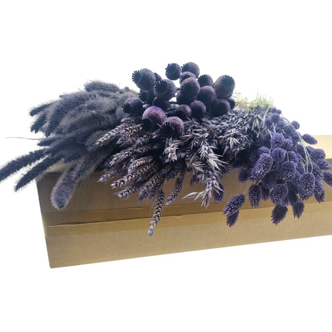 Trockenblumen DIY-Set "Vlieland" | Fünf Arten von lila Trockenblumen in einer Box