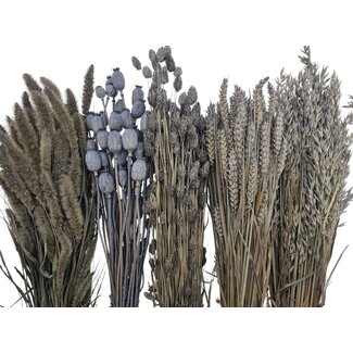 Dried Flowers DIY Set "Texel"