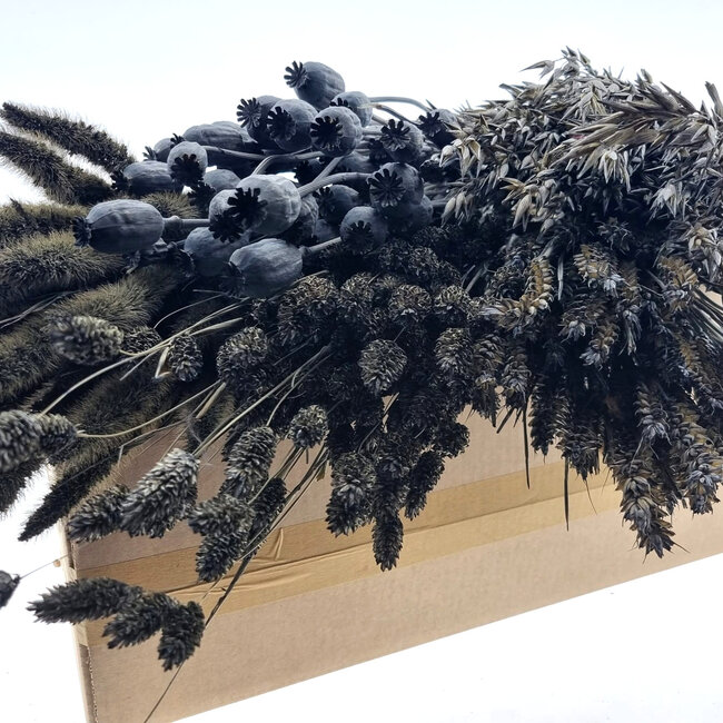 Set de bricolage de fleurs séchées "Texel" | Cinq types de fleurs séchées grises dans une boîte