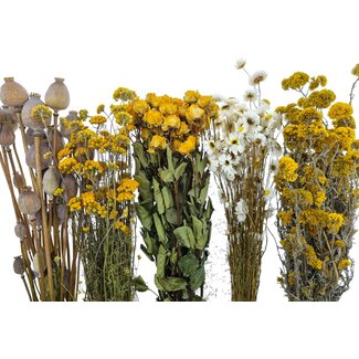 Trockenblumen DIY-Set "La Graciosa"