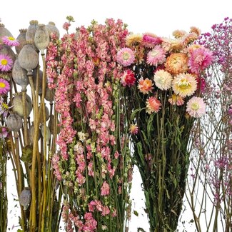 Dried Flowers DIY Set "La Palma"