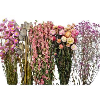 Set de bricolage de fleurs séchées "La Palma"